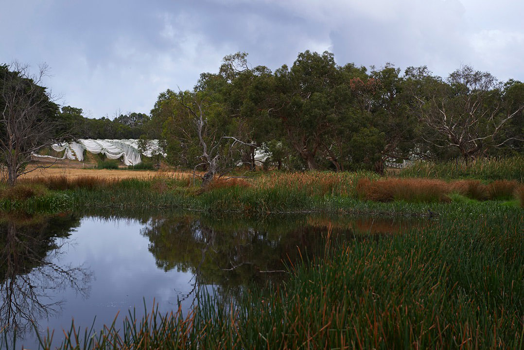 Kooyong & Port Phillip Estate