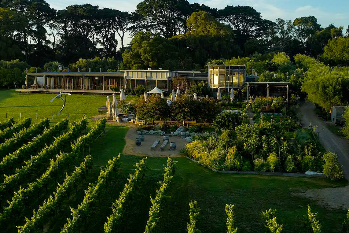 Montalto Vineyard & Olive Grove