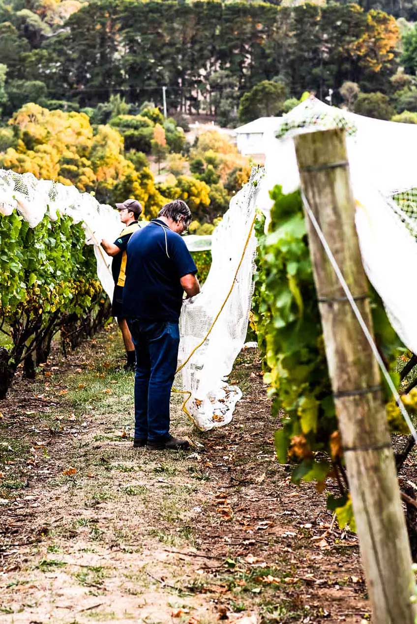 Paringa Estate