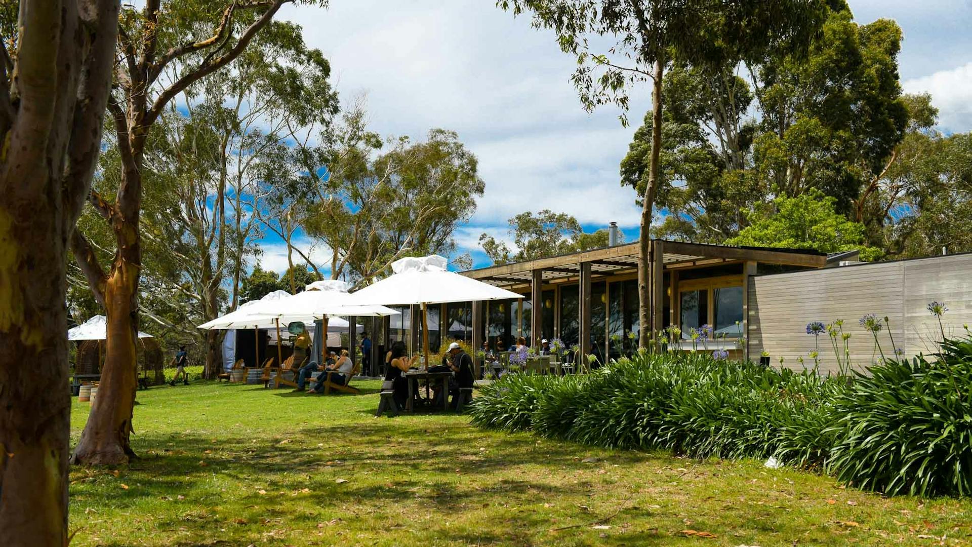 Yabby Lake Vineyard